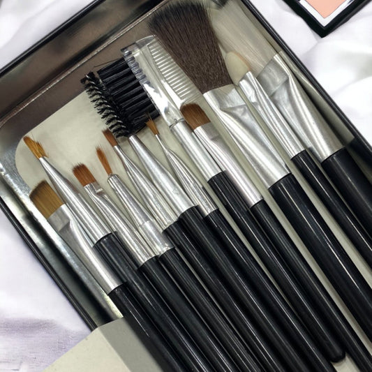 Professional Makeup brush set